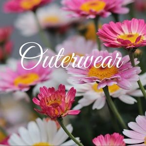 Section: Jackets/sweaters